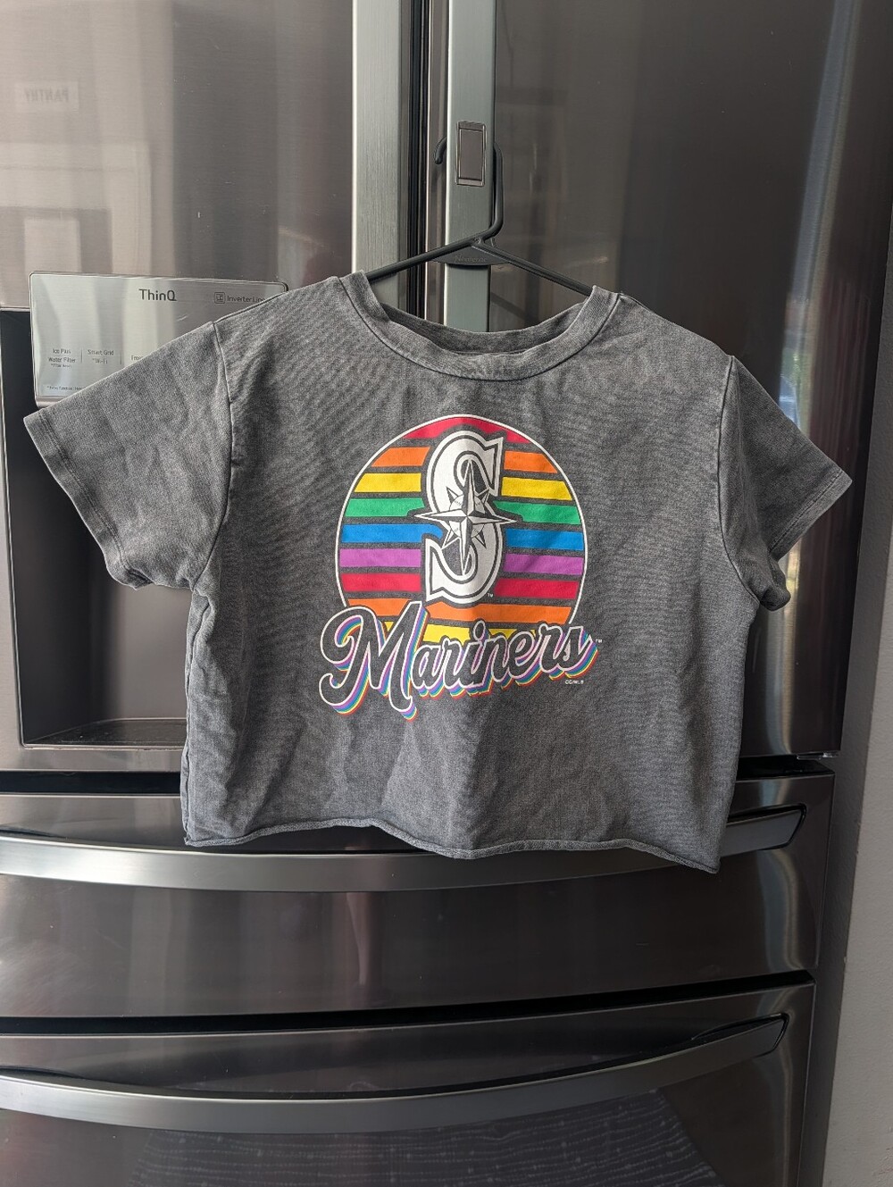 Women's Crop Top Short Sleeve Graphic Tee - Charcoal with Rainbow Logo